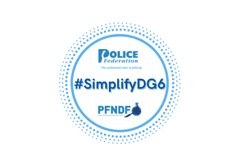 Simplify DG6 logo